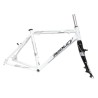 CUADRO Y HORQUILLA URBANO RIDLEY TEMPO TALLA S